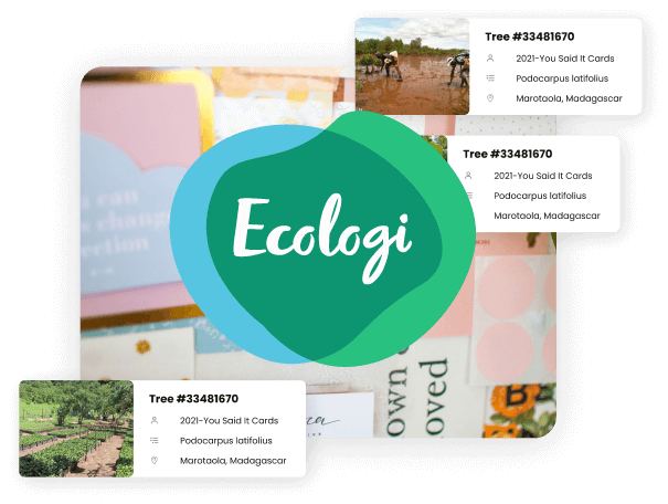 Tree planting initiative for card sales through Ecologi